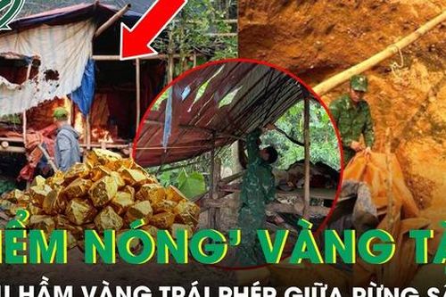 Đột kích 'điểm nóng' vàng tặc giữa rừng sâu ở Huế, lộ nhiều hầm vàng trái phép