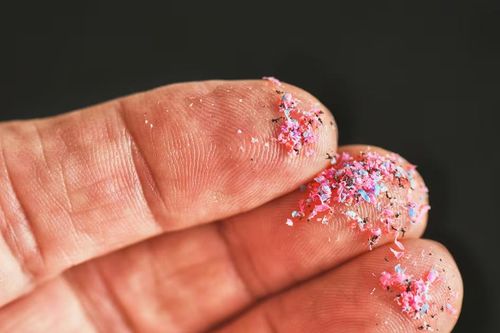 Mối đe dọa lớn từ 'Bãi rác khổng lồ Thái Bình Dương'