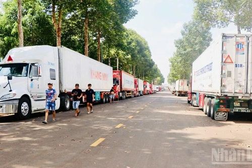 Xử lý ùn ứ hàng trăm xe container chở sầu riêng tại Đồng Nai