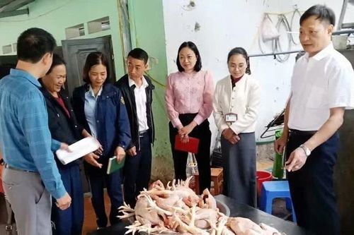Tuyên Quang tăng cường kiểm tra về an toàn thực phẩm