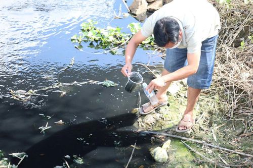Kênh chìm Sơn Tịnh 'oằn mình' gánh ô nhiễm