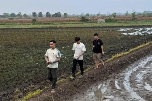 Tây Ninh: Tạm giữ các đối tượng nhập cảnh trái phép, bị truy nã