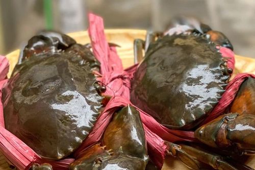Giá cua Cà Mau lập đỉnh chạm mốc 700.000 đồng/kg, nguồn cung khan hiếm