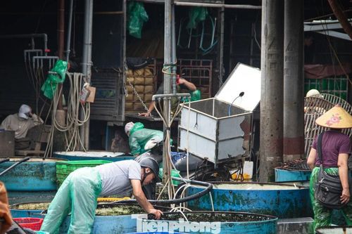 Sau lệnh giải tỏa, chợ cá Yên Sở vẫn tấp nập buôn bán