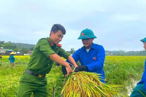 Công an, thanh niên Hà Tĩnh giúp người dân gặt lúa sau giông lốc, mưa đá