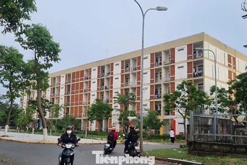 Bí thư Đà Nẵng nói gì về thông tin di dời Làng Đại học về phía Nam?