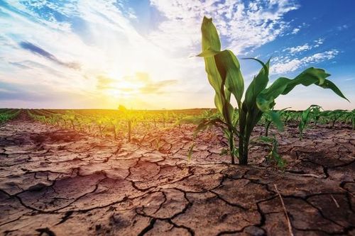 Hệ thống khí hậu đang mất cân bằng