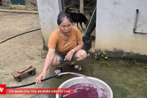 Vụ nước giếng đổi màu tím, bốc mùi hôi tại Thanh Hóa: 5/5 mẫu không đạt chuẩn
