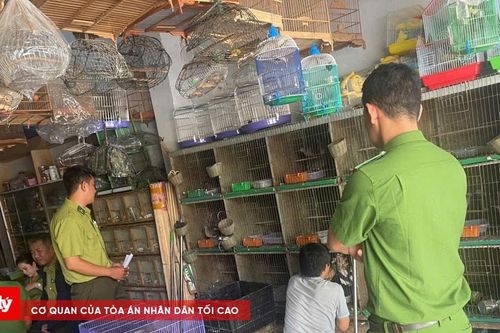 Phát hiện nhiều cơ sở nuôi nhốt động vật hoang dã trái phép