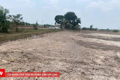 Nhóm đối tượng chuyên khai thác đất ruộng trái phép