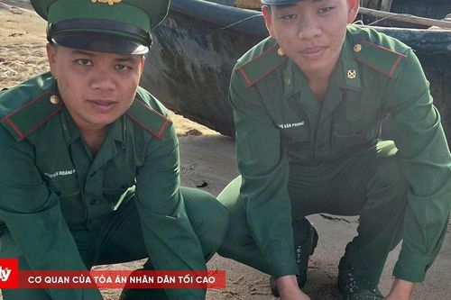 Thả hai cá thể rùa biển về đại dương