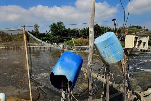 Một người đàn ông tử vong nghi do điện giật khi làm đầm tôm