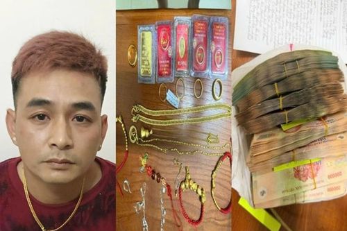 Bắt giữ 'siêu trộm' phá két sắt, gây hàng loạt vụ trộm tiền tỉ