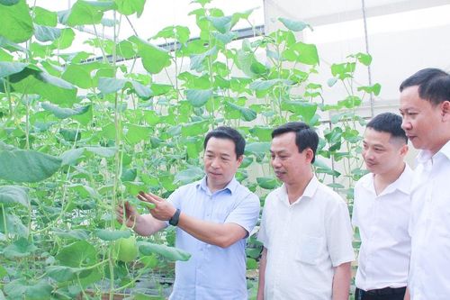 Đông Hiếu chủ động giữ vững 'trận địa', không để xuất hiện 'ba khoảng trống' tư tưởng
