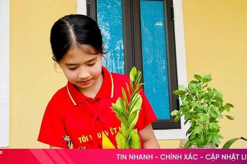 Học đường sáng tạo, lan tỏa 'ý thức xanh'