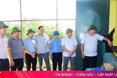 Tập trung nâng cao năng suất, hiệu quả xử lý chất thải rắn sinh hoạt
