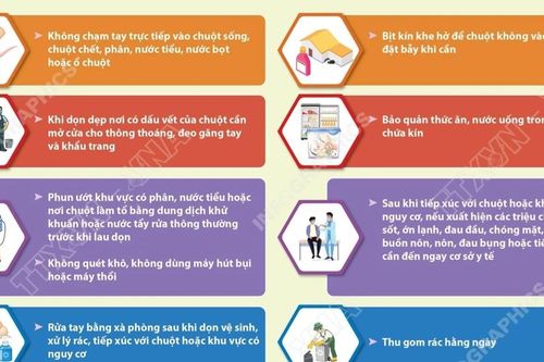 Bộ Y tế khuyến cáo phòng bệnh do virus Hanta