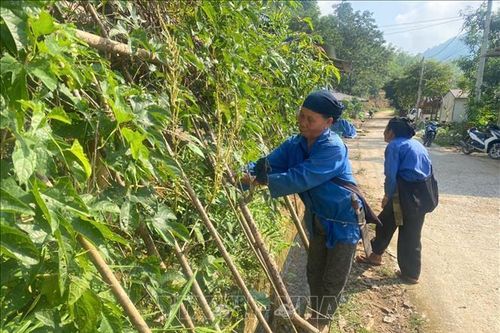 Thanh Hóa bổ sung 6,3 tỷ đồng hỗ trợ sản xuất nông nghiệp sau thiên tai