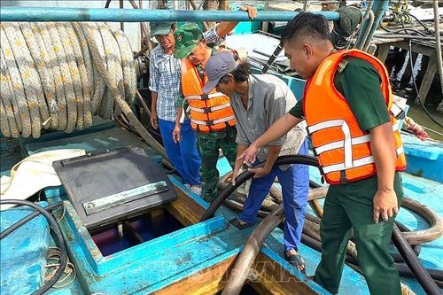 Xử lý tàu cá vận chuyển hơn 31.000 lít dầu không rõ nguồn gốc