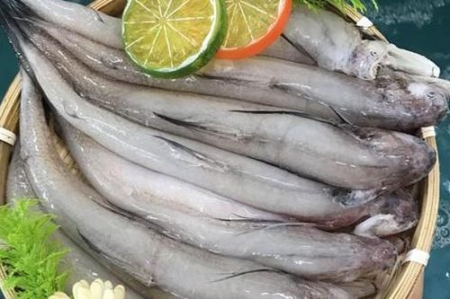 Đặc sản biển nổi tiếng của biển, có giá trị dinh dưỡng cao, mang lại nhiều lợi cho sức khỏe