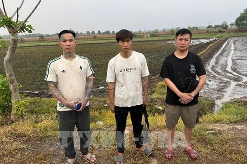 Tạm giữ các đối tượng nhập cảnh trái phép từ nước ngoài vào Việt Nam