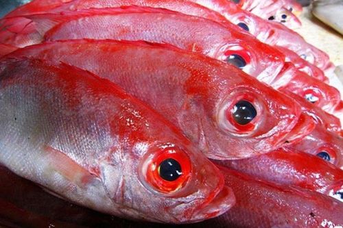 3 bộ phận của cá giàu dinh dưỡng hơn cả thịt nhưng không phải ai cũng biết tận dụng