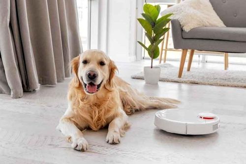 Những 'chiến binh' robot hút bụi dành riêng cho nhà nuôi thú cưng