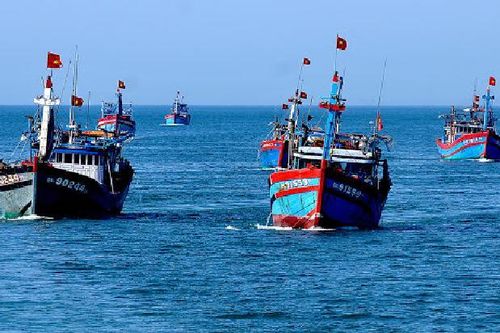 Hội Thủy sản Việt Nam phản đối lệnh cấm đánh bắt cá của Trung Quốc trên Biển Đông