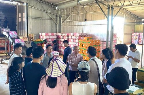 Bóc tách lợi nhuận quý cao kỷ lục của Hoàng Anh Gia Lai