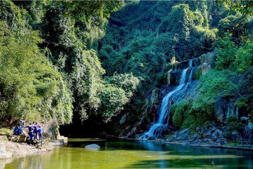 Hà Nội: Áp dụng nhiều mức hỗ trợ cho phát triển bền vững diện tích rừng trên địa bàn