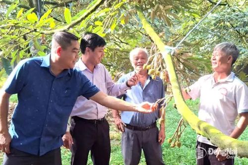 Mô hình tăng trưởng mới mang tầm chiến lược