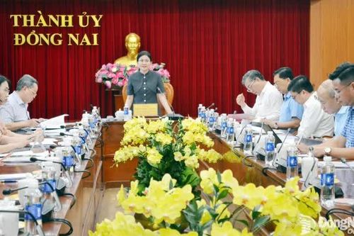 Rà soát việc xây dựng dự thảo nghị quyết của Bộ Chính trị về xây dựng và phát triển thành phố Đồng Nai