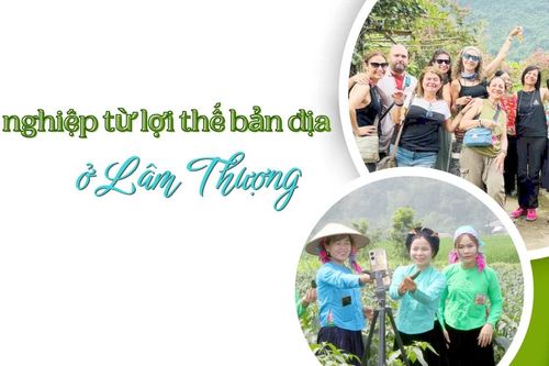Khởi nghiệp từ lợi thế bản địa ở Lâm Thượng