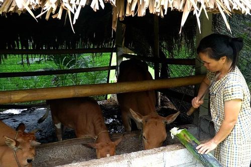 Xã Yên Thành hỗ trợ giảm nghèo 'trúng đối tượng, đúng nhu cầu'