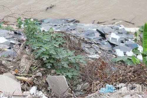 Đổ trộm hàng tấn kính vỡ ra sông Hồng