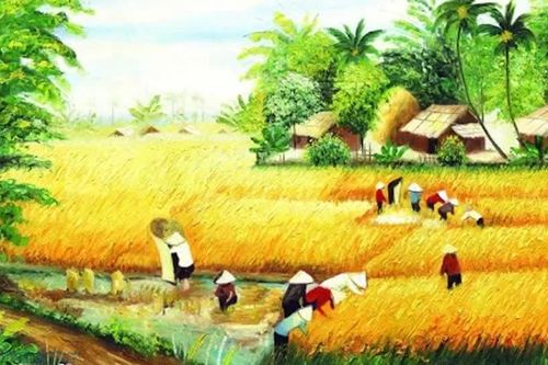 Mùa gặt miền quê nội