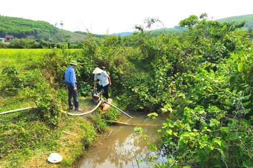 Tuyên Lâm: Nỗ lực chống hạn cho vụ đông-xuân
