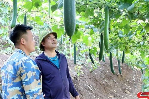 Đổi thay ở bản Pặt