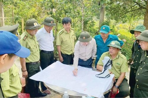 Mùa 'gác lửa'