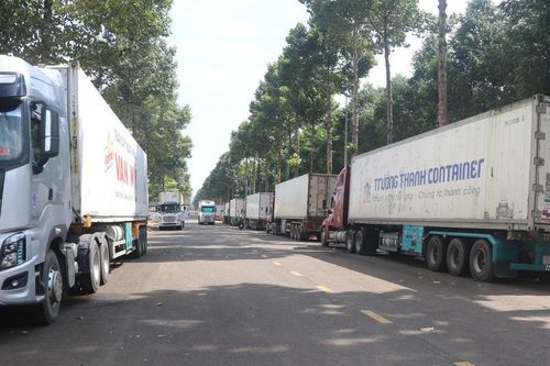 Đồng Nai: Hàng trăm xe container đổ về Dầu Giây lấy mẫu sầu riêng, giao thông quá tải
