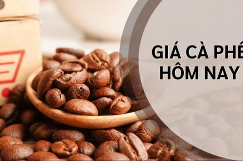Ngày 6/5: Giá cà phê giằng co trong biên độ hẹp, hồ tiêu neo cao ở mức 144.000 đồng/kg