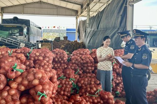 Campuchia siết chặt thông quan, doanh nghiệp Việt Nam cần lưu ý gì?