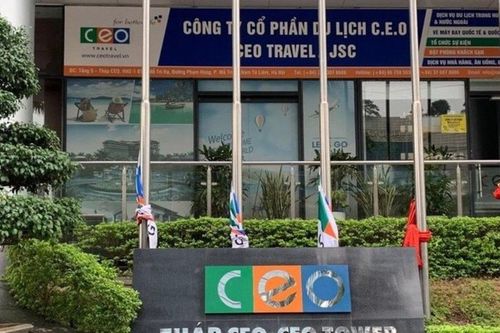 CEO Group: Lợi nhuận tăng hơn 67%, dòng tiền kinh doanh vẫn âm hàng trăm tỷ đồng