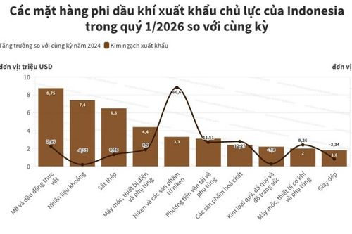 Indonesia thặng dư thương mại 5,55 tỷ USD nhờ xuất khẩu phi dầu khí