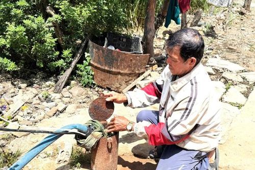 Lâm Đồng: Sống ngột ngạt quanh trại heo bốc mùi nồng nặc