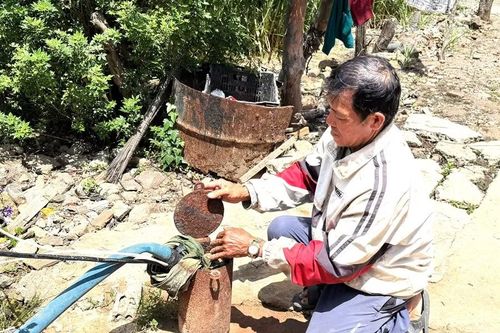 Lâm Đồng: Sống ngột ngạt quanh trại heo bốc mùi nồng nặc