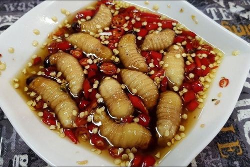Thận trọng với những món ăn từ côn trùng