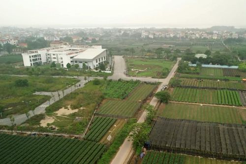 Hà Nội đề xuất cho thuê hơn 36.000 ha đất bãi sông thời hạn 20 năm
