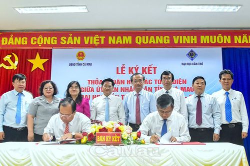 Liên kết chiến lược, toàn diện