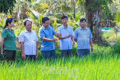 Nâng cao năng lực quản trị cho cán bộ cơ sở